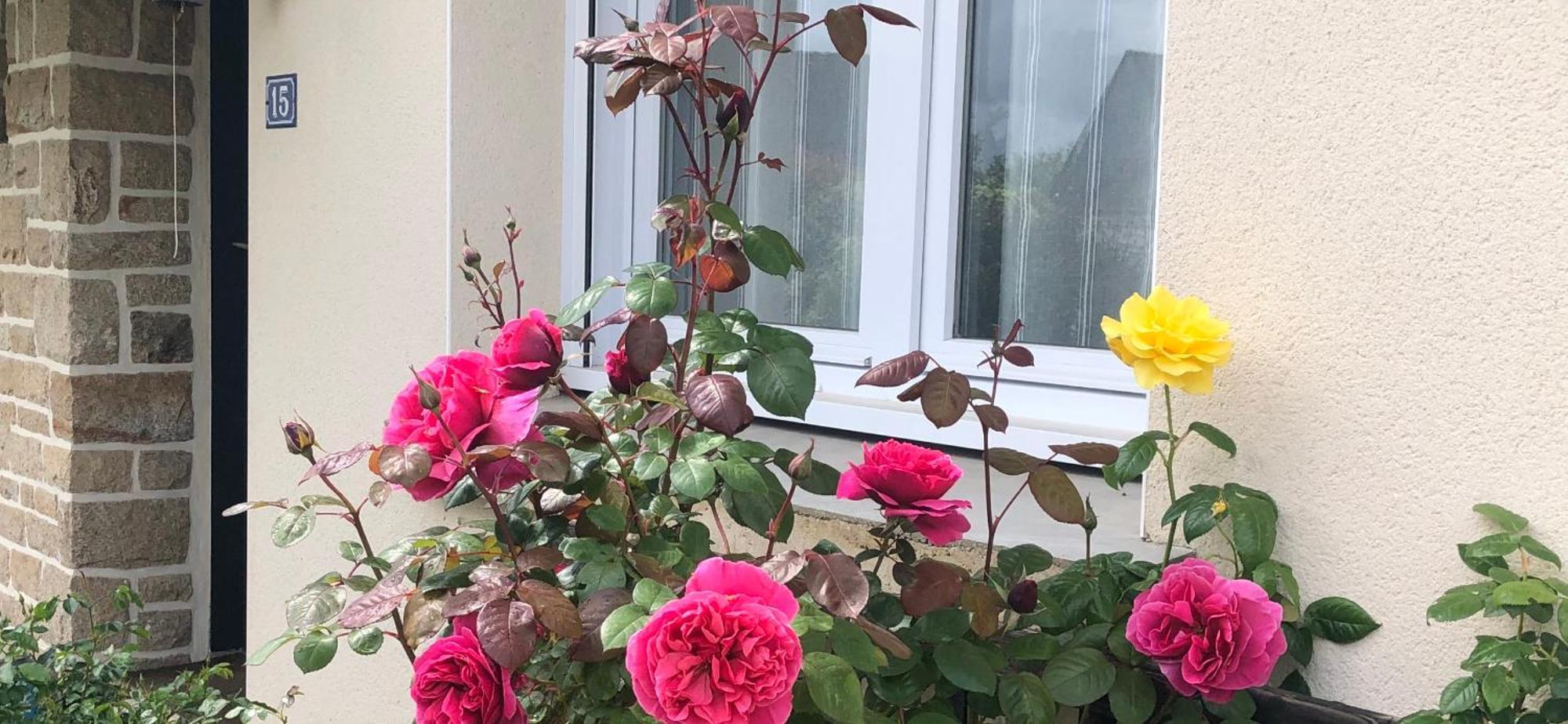 Chambre Chez L'Habitant "Les Roses De Sene" Exterior foto
